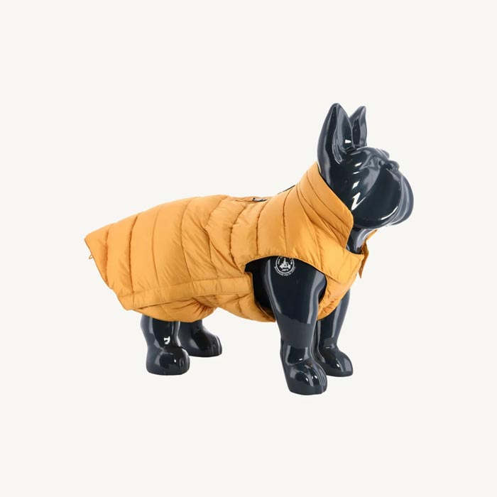 Rouge Dogs down jacket Woop：YELLOW