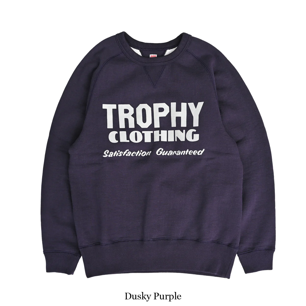 Block Logo Freedom Sleeve Sweatshirt / TR24AW-205:Dusky Purple