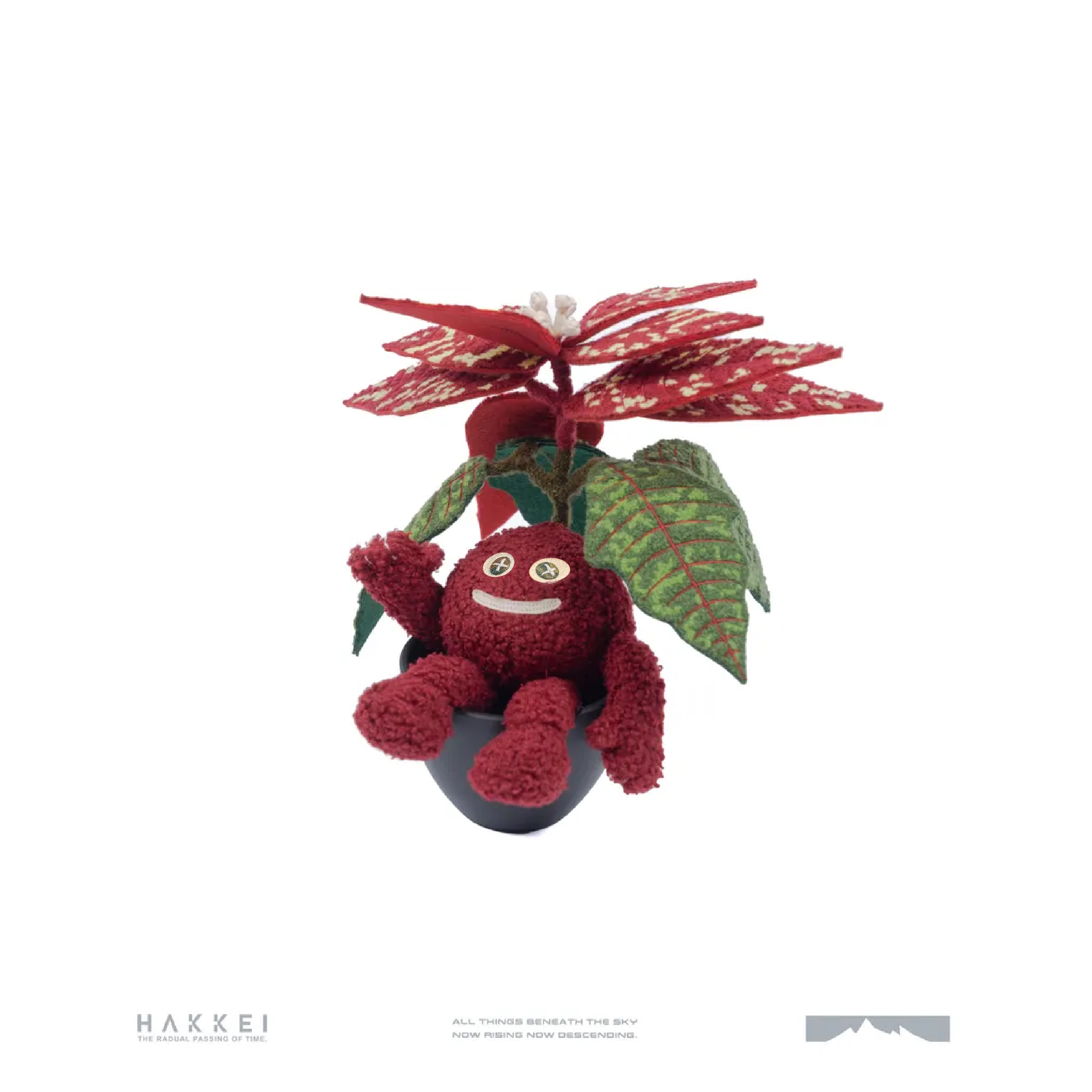 HAKKEI(白景) Poinsettia Doji 寶石聖誕紅豆吉  HPD23-1108